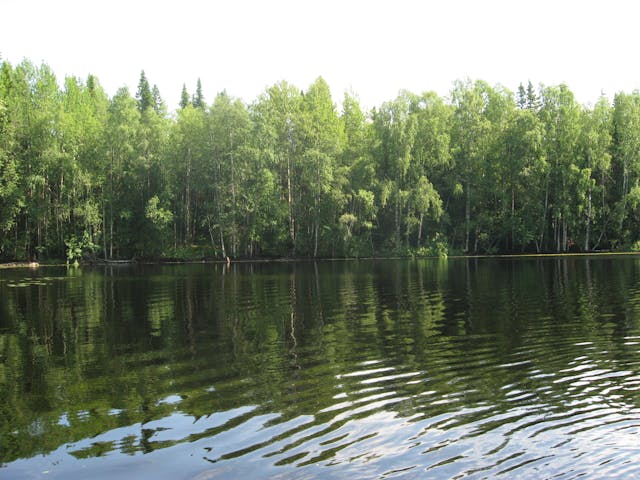 Экскурсия по озерам и каналам Соловков с электромотором (короткий маршрут)